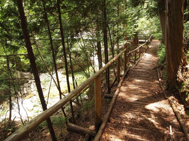 沢のまわりも歩きやすく整備されています。