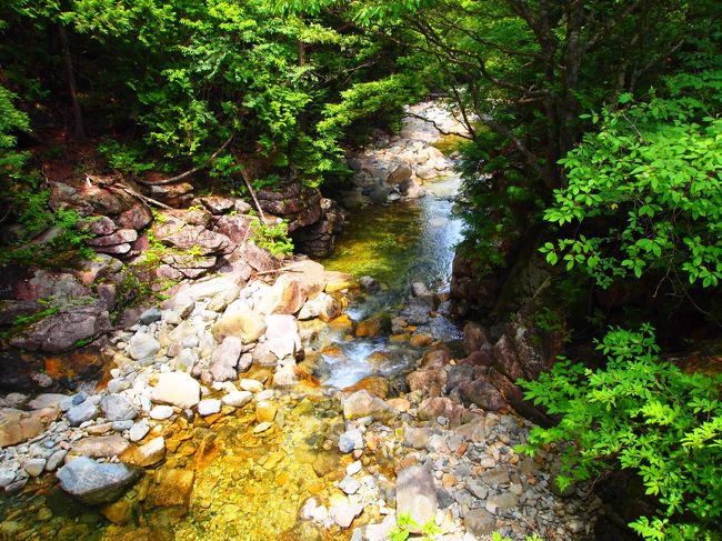 水も澄んでて美しいです。