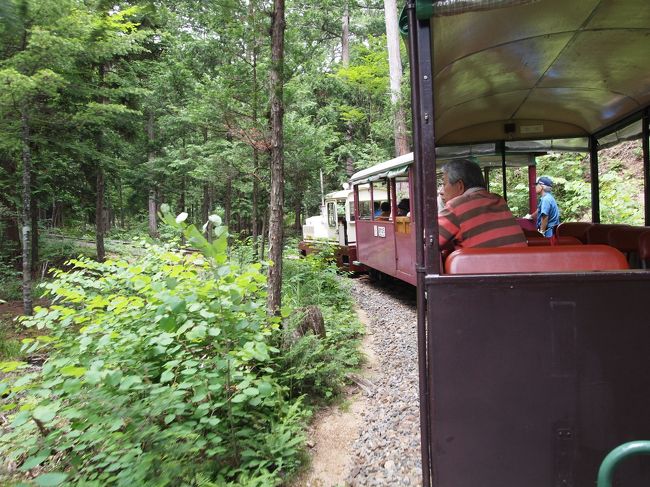 森林鉄道に乗ってみました。<br />のんびりゆっくり木々の間を通り抜けていきます。