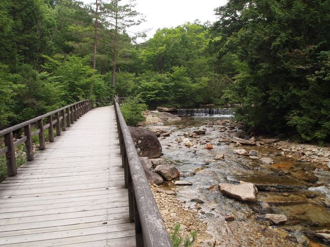 森林鉄道からの帰りは、川を見ながら歩きます。