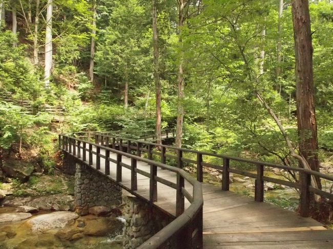 木の橋は歩きやすいです。