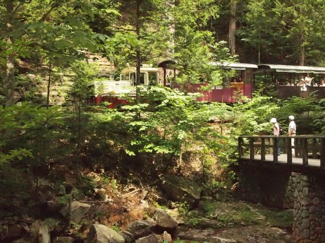 ときどき、森林鉄道の電車が通ります。
