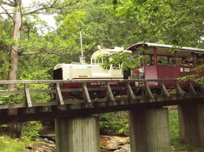 橋を渡る電車は絵になりますね。