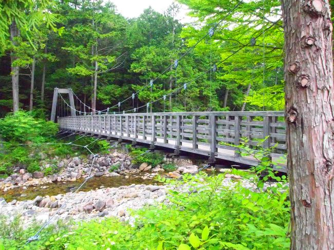 入り口の橋に戻ってきました。<br /><br />森林の散策には、もってこいの場所でした。