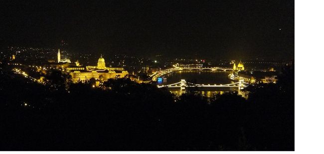 そして、ゲッレールトの丘にバスが登り、下車します。<br />町を見下ろせるスポットに来ると・・<br /><br />息を飲む美しさ！<br /><br />ブダペストの夜景は素晴らしいと聞いていた通りでした。<br /><br />いつまでも見ていたいけれど、バスに置いていかれたら大変なのでガイドから離れないように戻りました。<br />