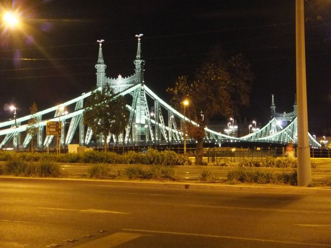 もう乗り慣れた４９番のトラムでホテルまで帰ります。<br /><br />フランツ・ヨーゼフ橋、またはエリザベート橋、または自由橋<br /><br /><br /><br />