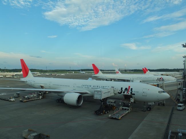 【ラウンジからの眺め】<br /><br />ＪＡＬも、来週いよいよ再上場ですね。<br /><br />国内２大航空会社が競争を通じてよりサービス向上、価格引下げをしていただけると、とってもうれしい。