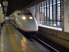 大宮駅に着いて、上越新幹線に乗り換えます。
乗り換え時間は８分、あっという間です。
E1系「Maxとき」が到着しました。