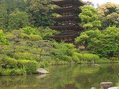 

「瑠璃光寺五重塔」



「瑠璃光寺」に入るとすぐに目に飛び込んできました。。



以前「おいでませ山口」のポスター（2008年版）で見かけ



恋い焦がれていた「瑠璃光寺五重塔」。。。



やっと　出会えた〜♪



憧れのスターに出会った気分？(笑）