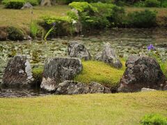 「常栄寺 雪舟庭」


『無染池（心字池）』

亀島。。

右の岩が頭…。なるほど亀の形。。。