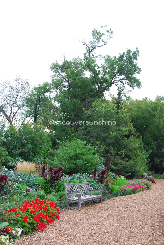 こちらは、アシニボイン・パークにある植物園。<br /><br />実はこの公園には、<br />「クマのプーさん」のモデルの銅像があるのですが、<br />このツアーでは行かれないとこのこと。<br />ウィニペグで一番行きたい所だったので、残念。<br /><br />また私に来て欲しいんだね〜。