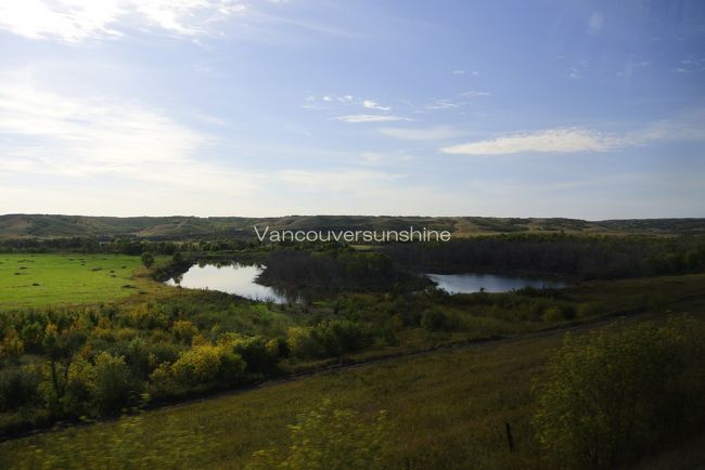 昨年、カナディアン号からの景色の中で、<br />心にグッと残った場所の一つ、<br />「Qu'appelle Valley」。<br /><br />運良くここを通過する頃には快晴となり、<br />また素晴らしい景色を見ることができたうえ、<br />今年は乗務員を捕まえて、<br />しっかり地名を書いてもらいました。<br /><br />いつか列車からではなく、<br />車で来てのんびり眺めたい大好きな風景です。<br /><br />