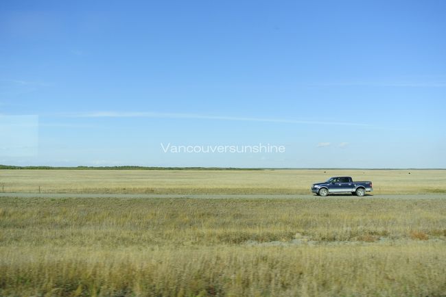 今日の午後は、ずっとこんな平らな景色。<br /><br />人の姿もあまり見かけません。