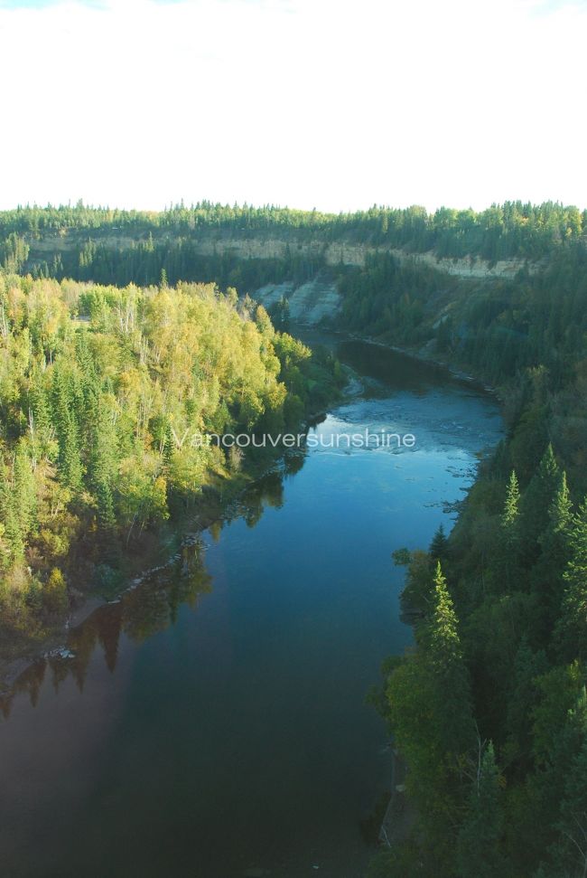 ロッキーが近づいて来たのか、<br />大平原から川や谷など、<br />景色が変わりつつあります。