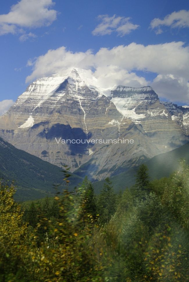 シャイなマウントロブソン。<br />3年目にしてようやく顔を覗かせてくれましたね。<br /><br />まあ、３年連続でカナディアン号に乗ってやって来る<br />日本人もそうはいないでしょうから、<br />いい加減顔を出してやろうかといった感じなのかも？