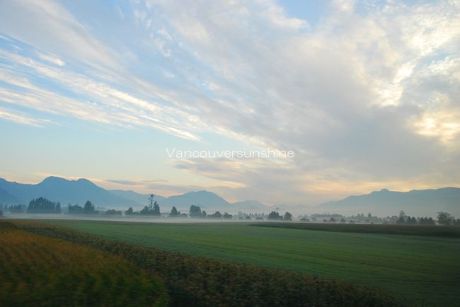 朝靄が発生しているようで、<br />ちょっと幻想的な田園風景です。