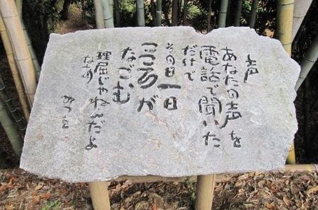 相田みつをさんの詩を刻んだ石板がならぶ 心の散歩道 港北 長津田 青葉 神奈川県 の旅行記 ブログ By 魅々さん フォートラベル 相田みつをさんの詩を刻んだ石板がならぶ 心の散歩道 港北 長津田 青葉 神奈川県 の旅行記 ブログ By 魅々さん フォートラベル