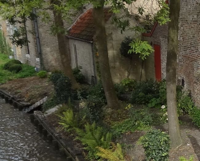 通常の修道生活は、キリストの教義によって、縛りの<br />厳しい生き方を強いられるかのイメージがありますが、<br />ベギン会は何よりもそこに生身の女性が在り、彼女達の<br />生きる力を守り引き出すに積極的だった、とても新しい<br />会だったのだと思いました。<br /><br />修道生活の断片を覗う美術館も。<br />今日は、残念ながらパスします。