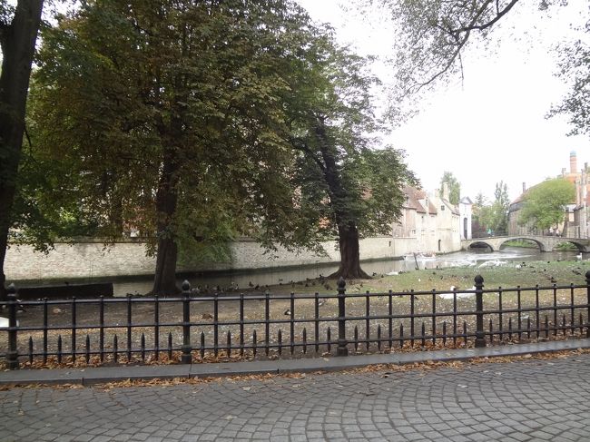 そこは柵を巡らし、鳥のサンクチュアリに。