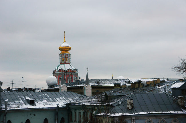 寂しさに 　ひとりたたずむ　ねぎぼうず。