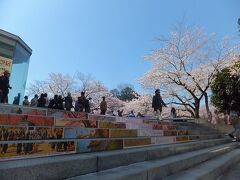 今年も九段下に桜を見に来ました。東西線の九段下を降りて階段を登るとすごい人でした。
千鳥ヶ淵でのお花見はシートなどを敷いて見るのではなく、歩きながら見る格好です。