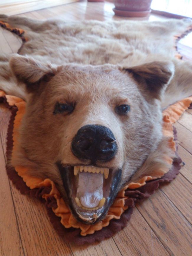 ちょっと休憩して観光案内所と博物館にも行きました。<br />観光案内所では熊の敷物がありました。<br />毛はちょっと固めなのですね。