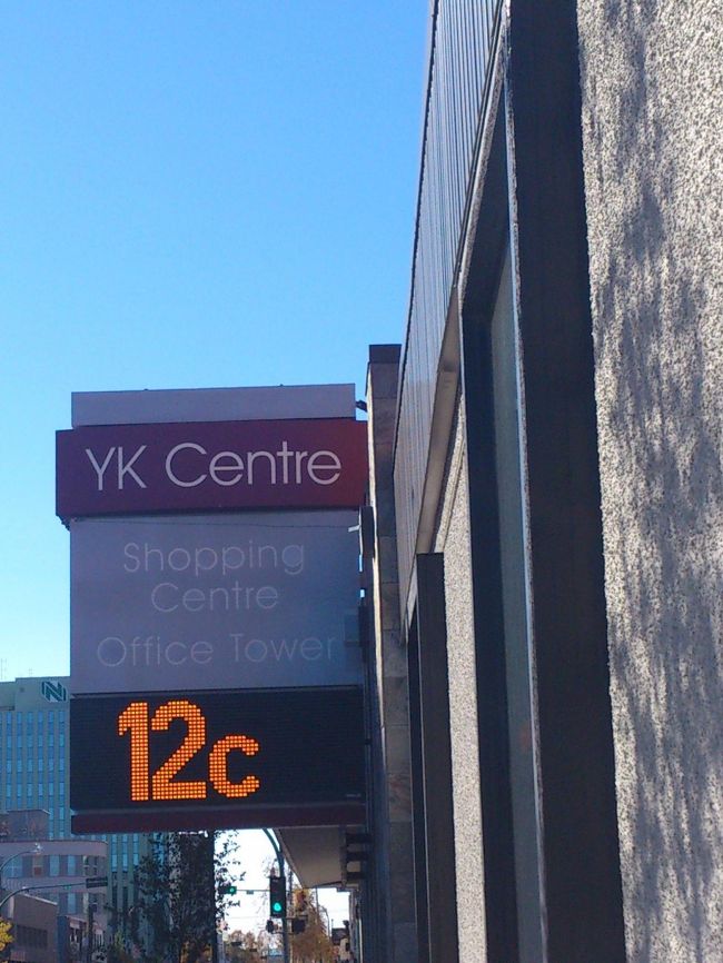 この日は12度。<br />日陰で風邪が吹くと寒かった。