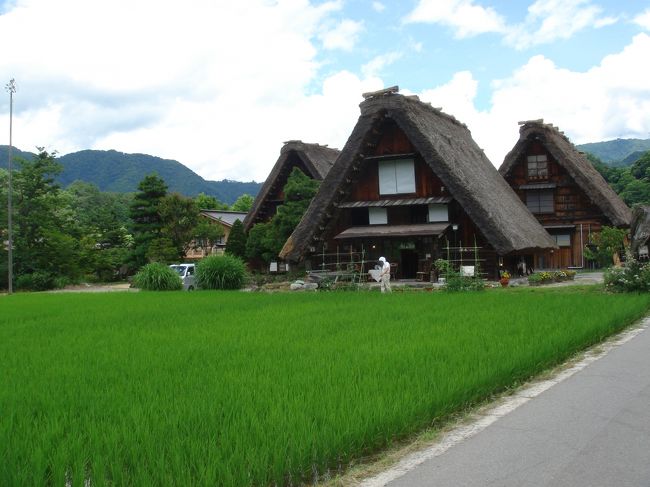白川郷へ。<br /><br />最近高速が通って、便利になったみたいです。<br /><br />めちゃくちゃ暑かった・・・<br /><br />想像よりも観光地化してました。こういう建物もみんなお土産屋さんか、食事どころでした。