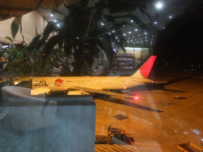 【空港のラウンジ】<br /><br />ホテルに戻り、部屋にあるのと同じバッチャン焼の小物入れやハス茶などを買ったのち、タクシーで空港へ。<br /><br />