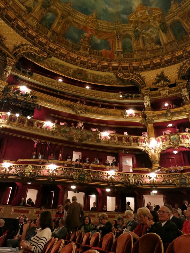 この日はオペラシーズン開幕前で、オーケストラによるコンサートです。<br /><br />曲目は、ベートーヴェンの8番にメンデルスゾーンの真夏の夜の夢。<br />指揮者は若い、J?・r?・mie Rhorer。<br /><br />ここは、かつて大野和士さんが音楽監督を務めた劇場です。<br />http://www.lamonnaie.be/<br /><br />想像以上のレベルの高さに驚きでした。<br />一番いい席でしたが、わずか40ユーロ。<br /><br />これからブリュッセルに行かれる方は、ぜひオペラを見に行ってください。<br />