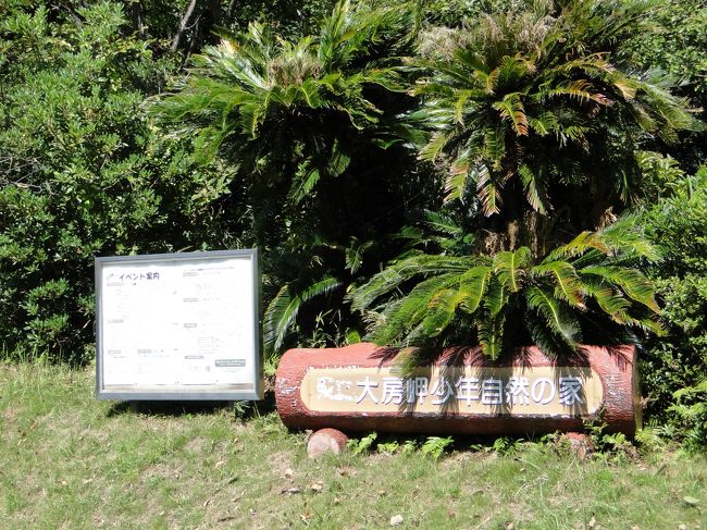 『南房総でミニトレッキング？』富浦・富山(千葉県)の旅行記・ブログ by じんざえもんさん【フォートラベル】