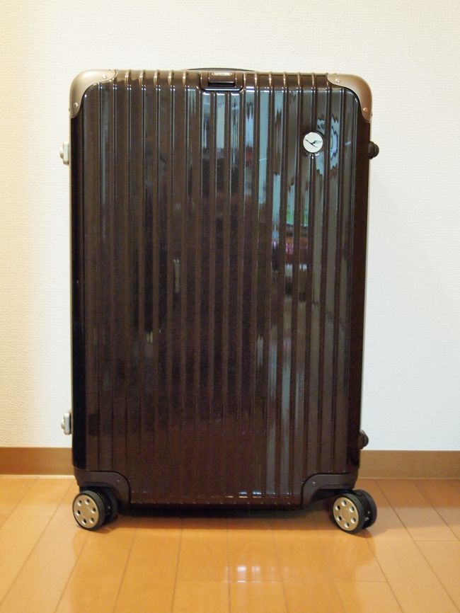 20代女一人旅☆ドイツ【番外編：フランクフルト国際空港編