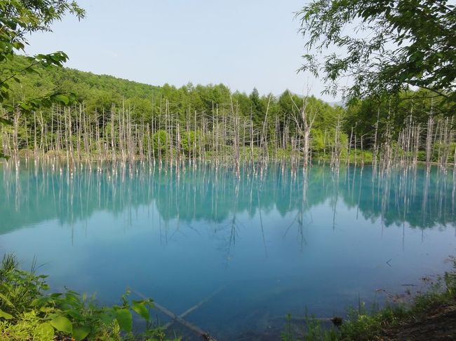 ここはMacのOSの壁紙に採用されて一躍世界的に有名になった青い池です。