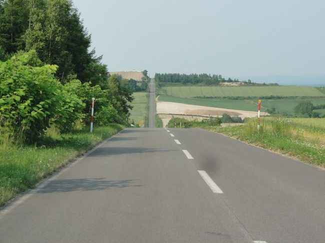 ジェットコースターの路です。<br /><br />高低差ありすぎて耳キーンなるわ！（C）フット後藤