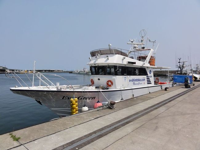 イルカ・ホエールウォッチングツアーに行ってみた。イルカは結構見られたが、クジラは一瞬現れた程度。前日も乗船したというオジさんによれば前日はシャチが見られたとのこと。羨ましい。