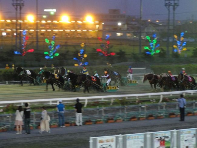 ばんえい競馬にも行ってみました。意外と面白かったです。