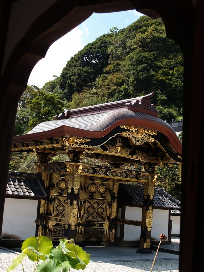 鎌倉建長寺唐門-2012年秋』鎌倉(神奈川県)の旅行記・ブログ by 鎌倉建長寺唐門-2012年秋』鎌倉(神奈川県)の旅行記・ブログ by