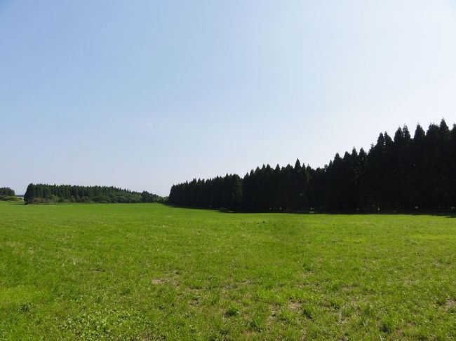 入ってはいけない部分の牧草地っぽいところ。思わず走りたい衝動にかられる。