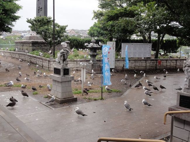 ちょっとホラーかよっていうほどウミネコがいます。鳥が苦手な人は境内に近づくことさえできないでしょう。