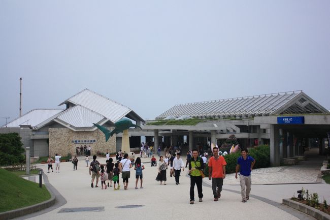 道の駅許田でチケットを買い、美ら海水族館へ。<br />駐車場は広いですが、近い場所に駐車できました。<br />