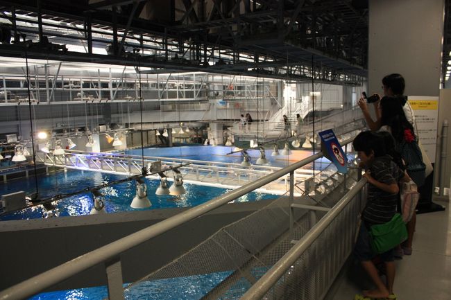 黒潮探検へ。<br />黒潮の海の水槽を上から眺められます。<br />観覧時間ならば自由に行くことができます。<br />