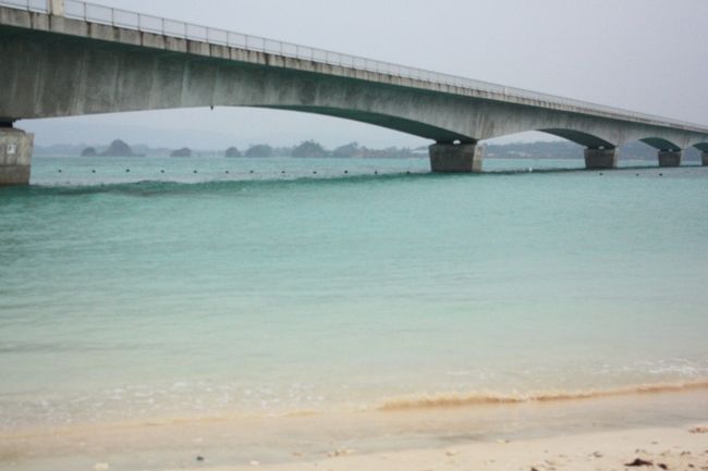 古宇利ビーチ。<br />天気が良ければもっとキレイだろうなぁ。<br />本当は泳ぎたかったのですが、水族館でのんびりし過ぎて時間がなくなりました。<br />