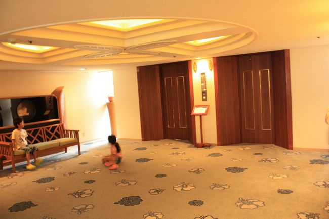 ホテル内のエレベーターは画像に写っている２台と、向かい側に１台の合計３台でした。<br />朝は混み合って、なかなか乗ることができません。<br />エレベーターからプライベートビーチが見えます。