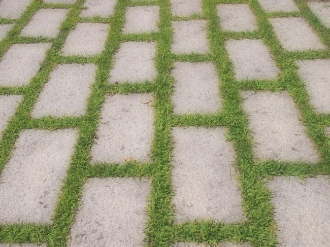 地面のブロックも美しいのですが、あまり時間もないので順路に戻ります。<br /><br />