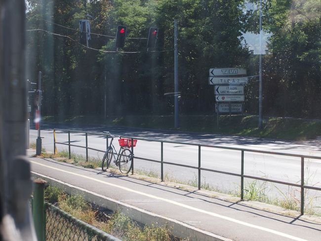 ボチボチ　近づいてきた感じ・・