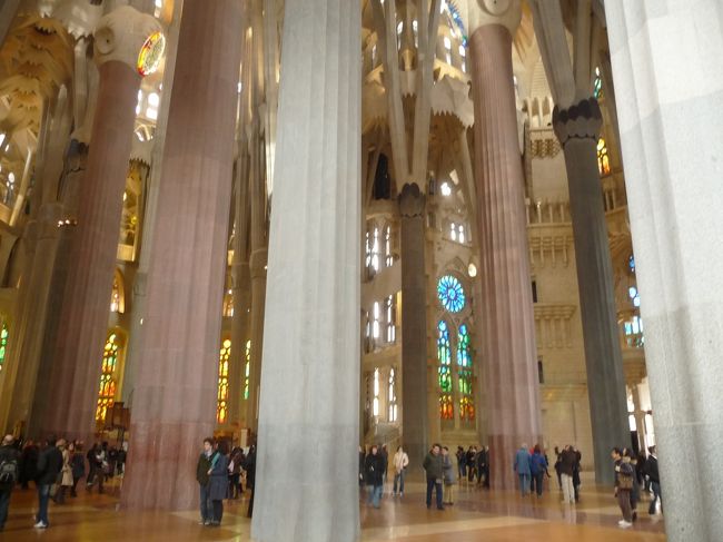 柱が木々のようですね。