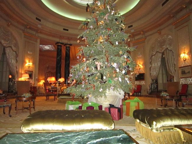 食事を済ませて、ホテルに戻りました。