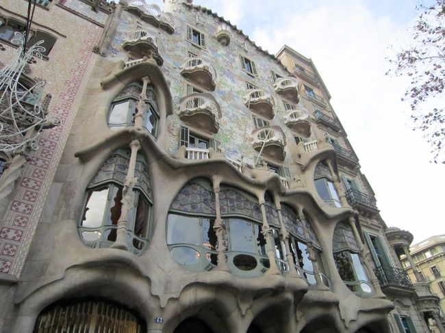 １２月３０日（木）<br />　今日は、スペイン最終日です。朝食は、グラシア通りで有名なバルの「セルべセリアカタラーナ」です。「シシトウの素揚げ」を注文したので、やむなく朝からビールを飲んで、朝からカサミラ、カサバトリョを観光しました。<br /><br />　いやー、朝からのビールは旅行ならではですね。あんまり強くないのにはめ外し過ぎ・・・。<br /><br />　写真は「カサバトリョ」。正面のファザードです。