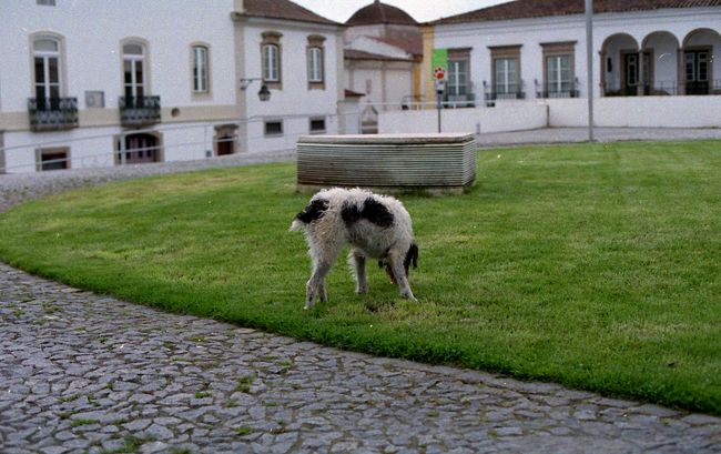 途中、ベンチに座ってぼーっとしてみたり、<br />街の人を観察してみたりしながら<br />暫く歩いたところで、<br />トイレ、お腹空いた、喉渇いたと<br />3拍子揃ったので<br />地元のおじさんたちが食べにくるという、<br />食堂的な感じの(実際にはレストランっぽいです)<br />アデガ・ド・ネートに入ってみました。