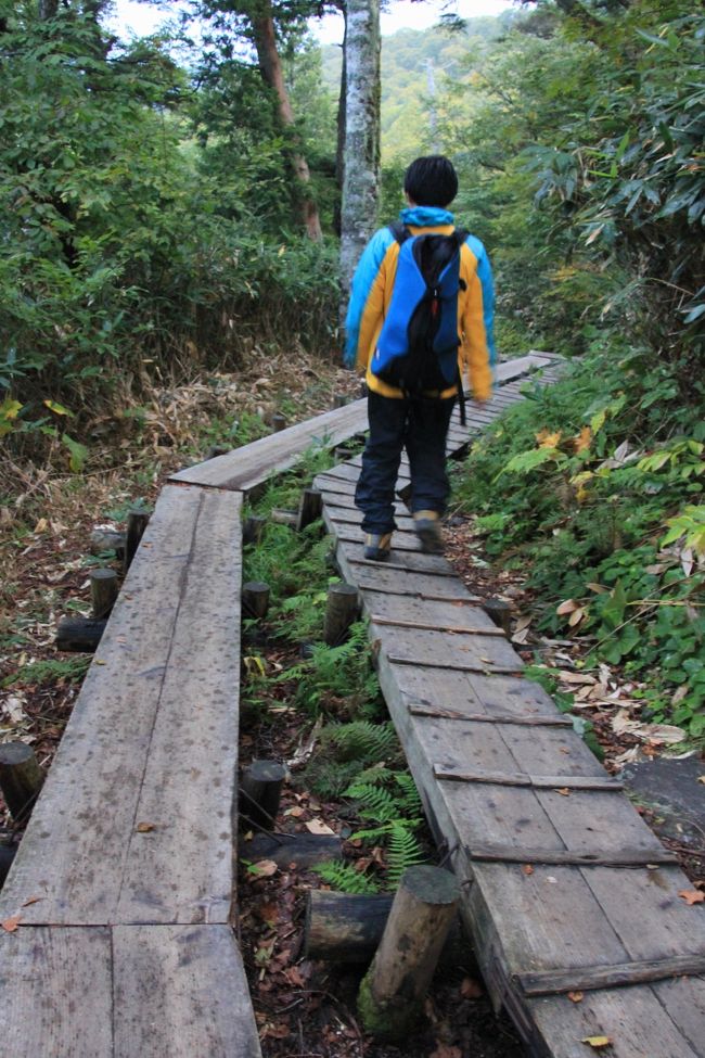 この木道になるまでの一番最初が一番きついのよね。<br />帰りね。<br /><br />下が濡れてるけど雨は降ってない。